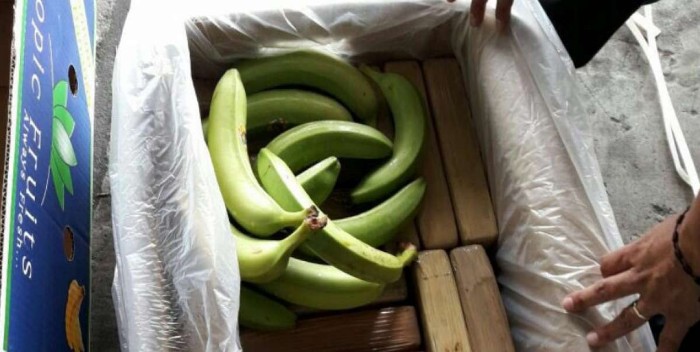 Incautan en Francia 416 kilos de cocaína en cajas de plátanos de Colombia -  TheFreedomPost